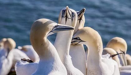 滕州伴游，定制QQ：3494206190微信：act1322